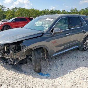 2023 HYUNDAI PALISADE TRIM PANEL FR DR - 1199205