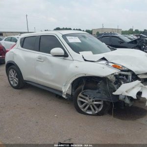 2013 NISSAN JUKE DOOR ASSEMBLY FRONT - 1004669520